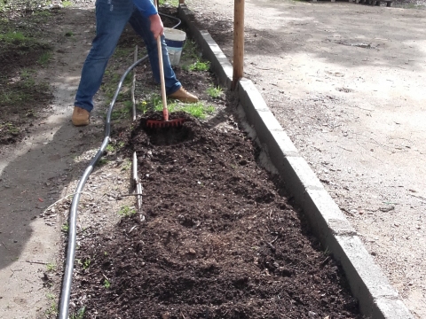 preparação do terreno com composto.